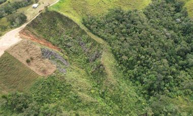 Lote En Venta Parcelación La Palmichala Cisneros