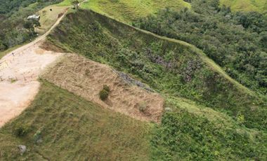 Lote En Venta Parcelación La Palmichala Cisneros