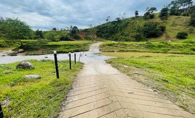 Lote En Venta Parcelación La Palmichala Cisneros