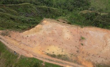 Lote En Venta Parcelación La Palmichala Cisneros