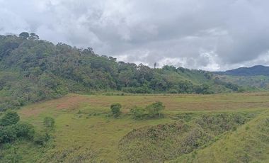 Lote En Venta Parcelación San Lucas Yolombó, Antioquia, Colombia