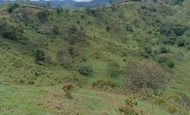 Lote En Venta Parcelación San Lucas Yolombó, Antioquia, Colombia