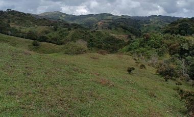 Lote En Venta Parcelación San Lucas Yolombó, Antioquia, Colombia