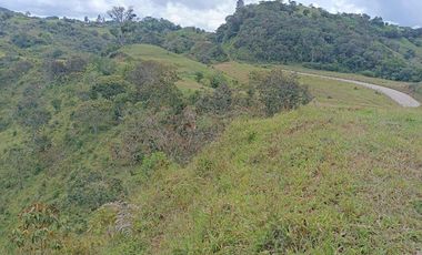 Lote En Venta Parcelación San Lucas Yolombó, Antioquia, Colombia