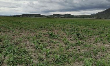 TERRENO EN VENTA VILLA DE TEZONTEPEC HIDALGO