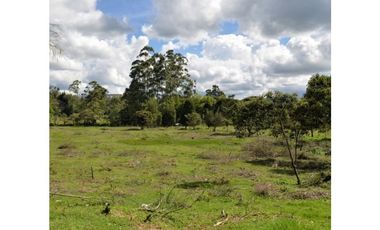 Venta Lote Industrial Guarne