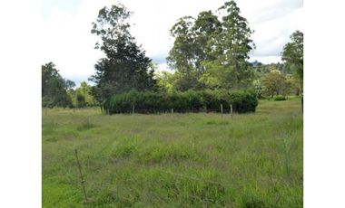 Venta Lote Industrial Guarne