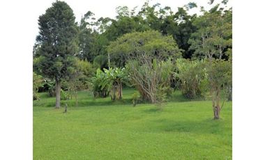 Venta Lote Industrial Guarne