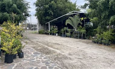 Terreno en renta Periférico Colonia Jalisco