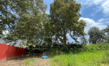 TERRENO EN VENTA CARRETERA XALAPA-COATEPEC