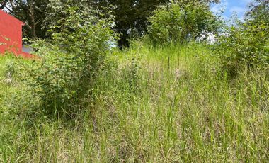 TERRENO EN VENTA CARRETERA XALAPA-COATEPEC