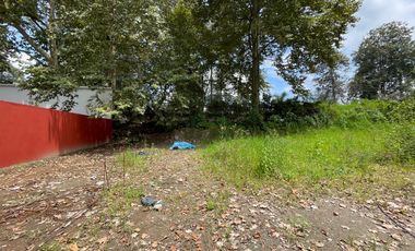 TERRENO EN VENTA CARRETERA XALAPA-COATEPEC