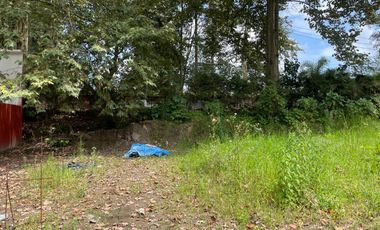 TERRENO EN VENTA CARRETERA XALAPA-COATEPEC