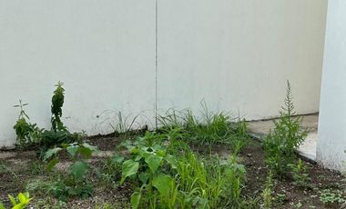 Casa en Renta en Adamar - Juchitlán 1478  57