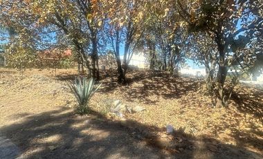 Terreno en OPORTUNIDAD en Bugambilias