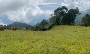 VENTA FINCA JERICÓ, SUROESTE ANTIOQUEÑO