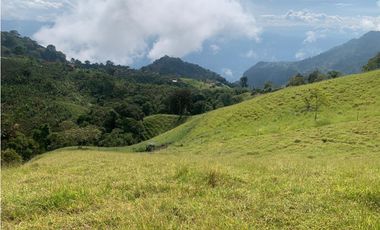 VENTA FINCA JERICÓ, SUROESTE ANTIOQUEÑO