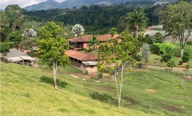 VENTA FINCA JERICÓ, SUROESTE ANTIOQUEÑO