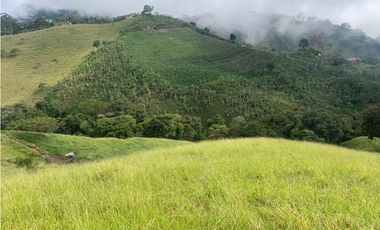 VENTA FINCA JERICÓ, SUROESTE ANTIOQUEÑO