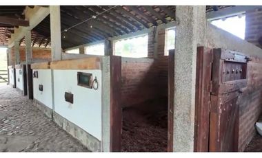 VENTA FINCA JERICÓ, SUROESTE ANTIOQUEÑO