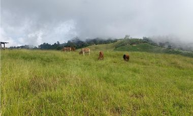 VENTA FINCA JERICÓ, SUROESTE ANTIOQUEÑO
