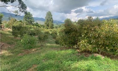 VENTA FINCA JERICÓ, SUROESTE ANTIOQUEÑO