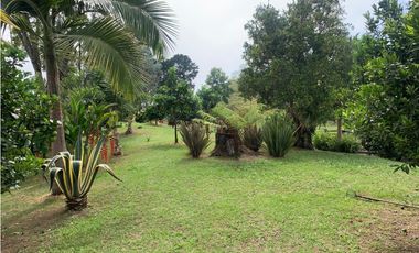 VENTA FINCA JERICÓ, SUROESTE ANTIOQUEÑO