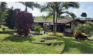 VENTA FINCA JERICÓ, SUROESTE ANTIOQUEÑO