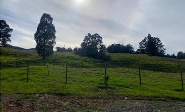 CASA FINCA PARA LA VENTA EN SAN PEDRO DE LOS MILAGROS