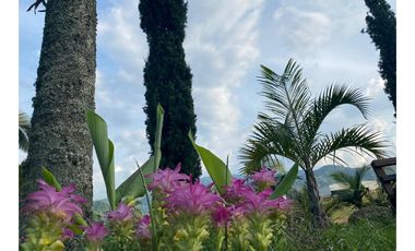 ARRIENDO CASA CAMPESTRE EN CHINCHINA, CALDAS | ARRIENDOS