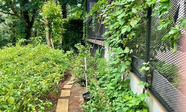 Dijual Rumah di De Latinos Cluster Carribean Island bsd