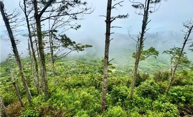 VENTA CASA EN ALTOS DEL MARIA 2800M2 CON EXCELENTE VISTA NATURALEZA CV