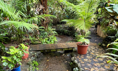 VENTA CASA EN ALTOS DEL MARIA 1500M2 CV