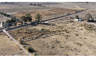 VENTA DE FINCA 60 HAS EN CALLE LA PRIMAVERA, RIVADAVIA- MENDOZA