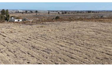 VENTA DE FINCA 60 HAS EN CALLE LA PRIMAVERA, RIVADAVIA- MENDOZA