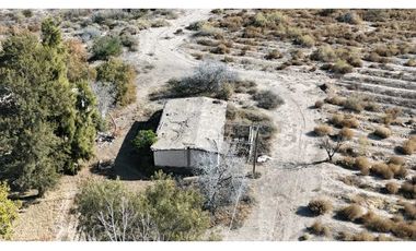 VENTA DE FINCA 60 HAS EN CALLE LA PRIMAVERA, RIVADAVIA- MENDOZA