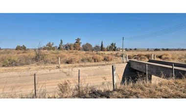 VENTA DE FINCA 60 HAS EN CALLE LA PRIMAVERA, RIVADAVIA- MENDOZA