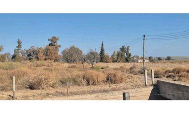 VENTA DE FINCA 60 HAS EN CALLE LA PRIMAVERA, RIVADAVIA- MENDOZA