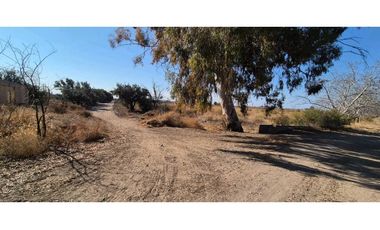 VENTA DE FINCA 60 HAS EN CALLE LA PRIMAVERA, RIVADAVIA- MENDOZA