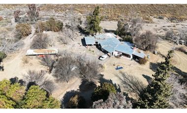 VENTA DE FINCA 60 HAS EN CALLE LA PRIMAVERA, RIVADAVIA- MENDOZA