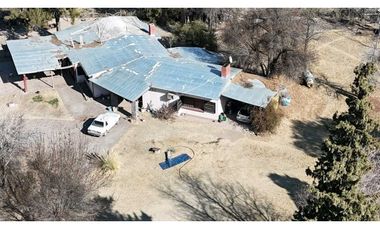 VENTA DE FINCA 60 HAS EN CALLE LA PRIMAVERA, RIVADAVIA- MENDOZA