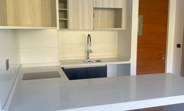 Arriendo Departamento 1D+1B Vista Puerto   Varas