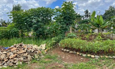 Disewakan Tanah di Ciputat - Tangerang selatan