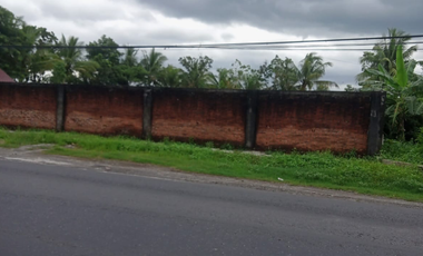 Dijual Tanah di pinggir jalan profinsi Purworejo Jogja