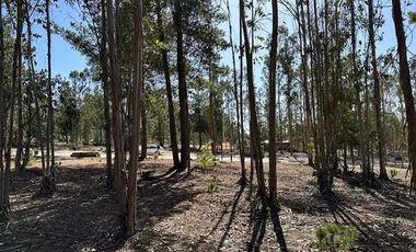 Parcela en venta en ALGARROBO