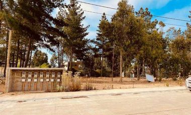 Parcela en venta en ALGARROBO