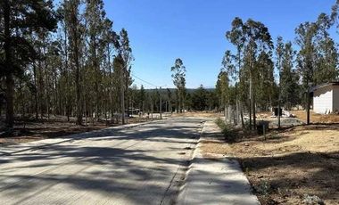 Parcela en venta en ALGARROBO