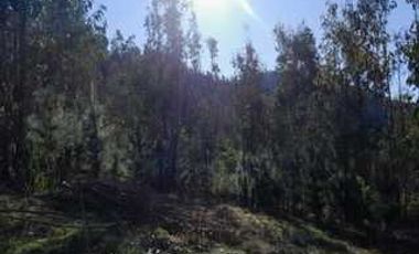 Parcela en venta  en CURICÓ