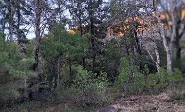 Parcela en venta en PINTO