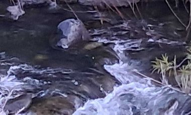 Parcela en venta en PINTO